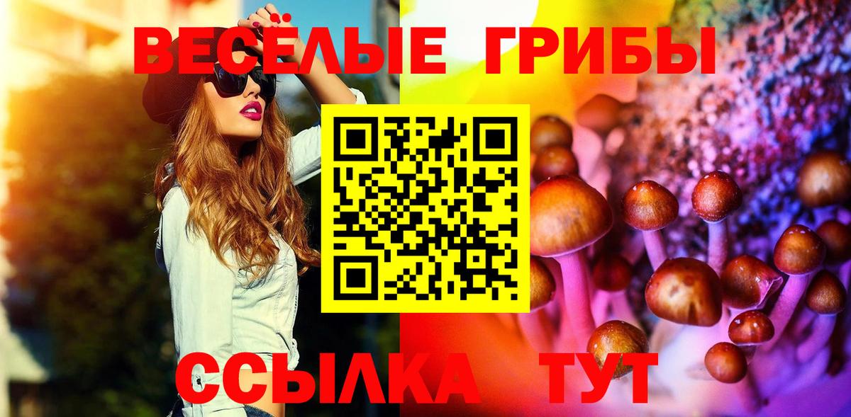 Галлюциногенные грибы Magic Shrooms Прохладный