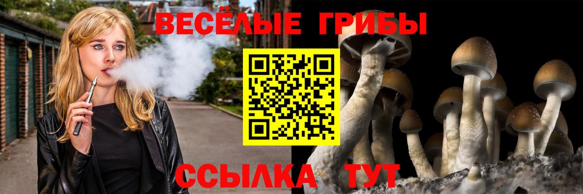 Конопля  Вход с VPN  Экстази  Прохладный  Меф МЯУ МЯУ   Кокаин  ГАШ 
